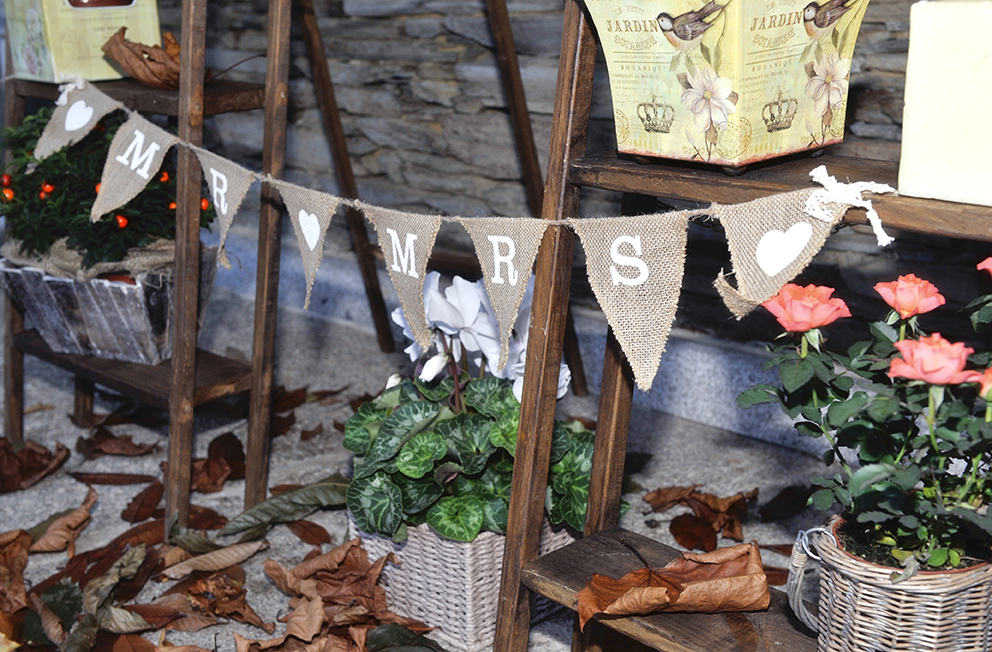 Boda Leopoldo y Tamara